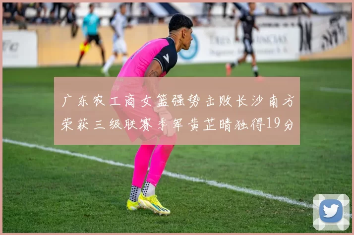 广东农工商女篮强势击败长沙南方荣获三级联赛季军黄芷晴独得19分助力胜利