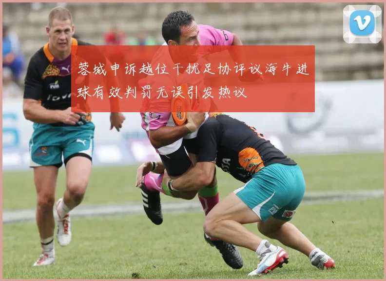 蓉城申诉越位干扰足协评议海牛进球有效判罚无误引发热议